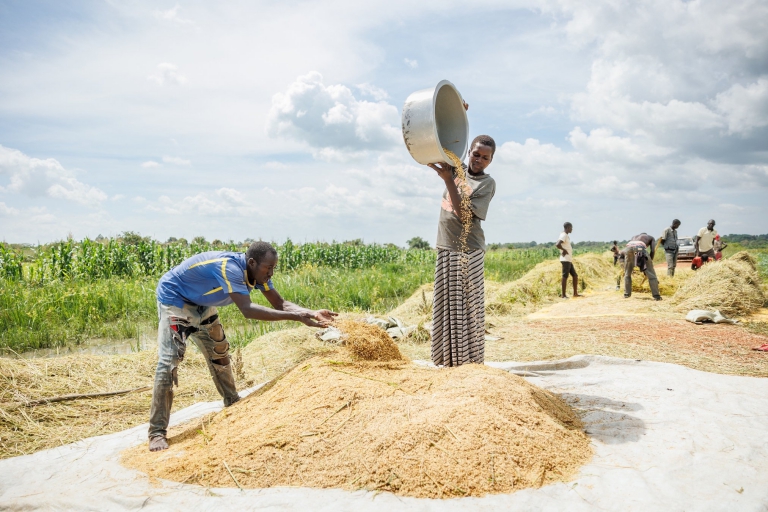 Best Agriculture Photographer in Uganda