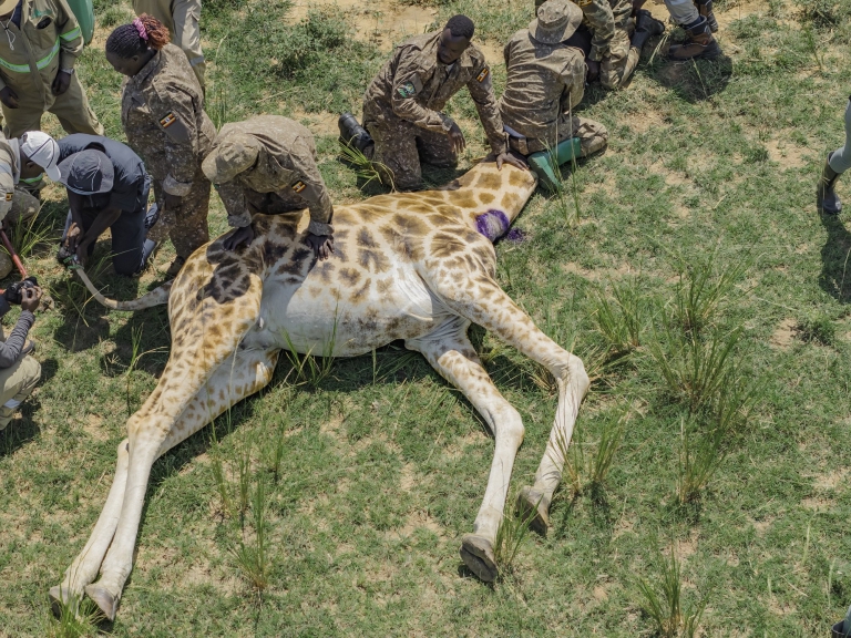 Biodiversity Photography (10)